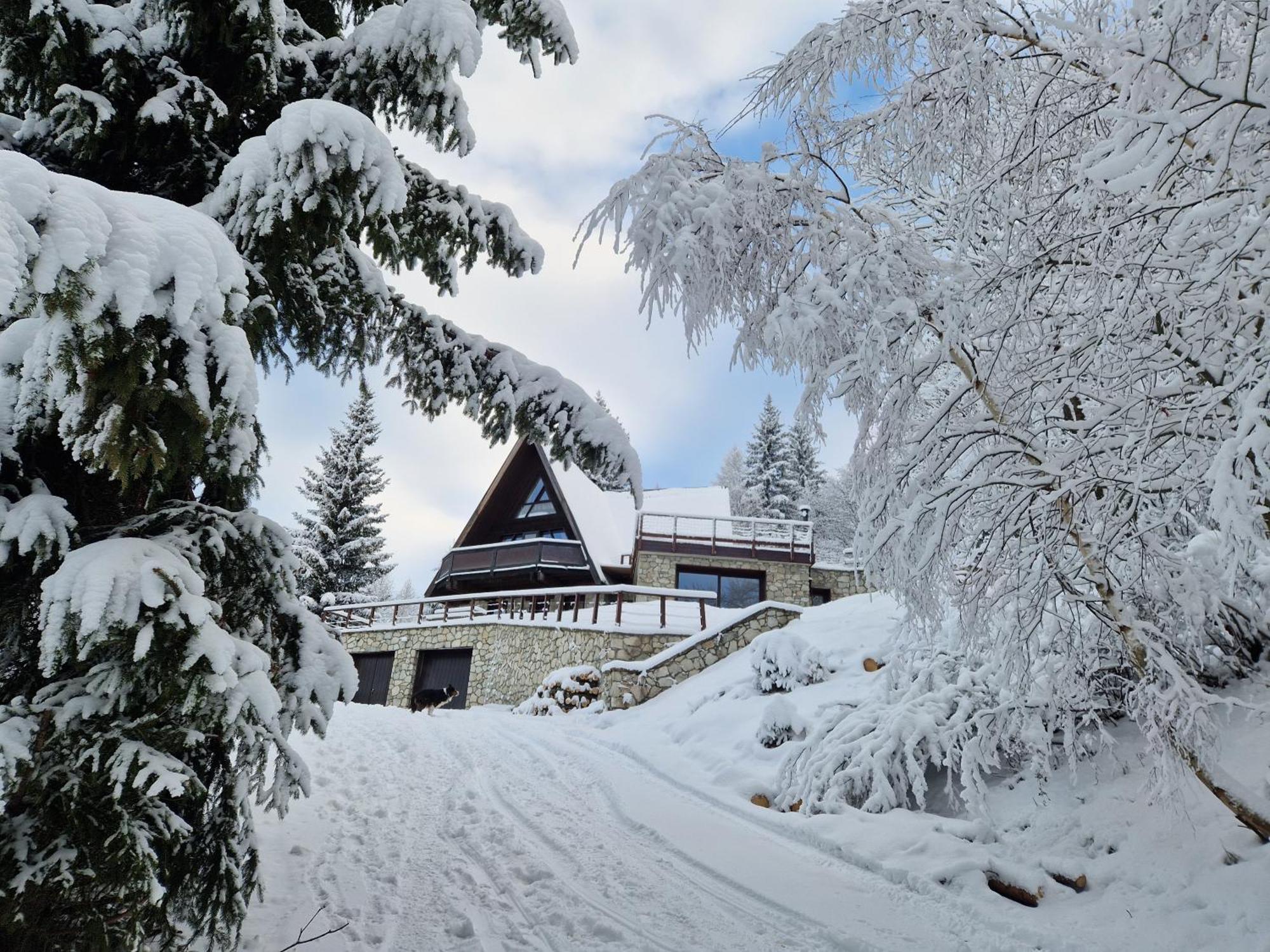 Le Chalet Pointu De Capucine Бур-Сен-Морис Екстериор снимка